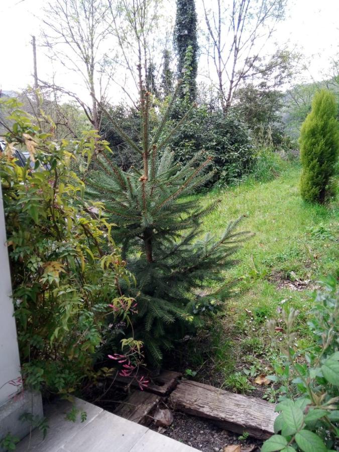 El Rinconin De Degu Vila San Juan de Parres Exterior foto